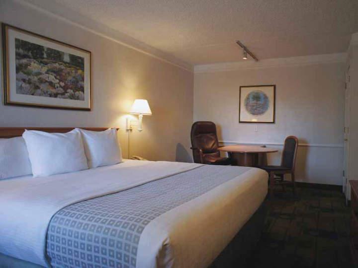 Motel 6 Phoenix, Az Midtown Room photo
